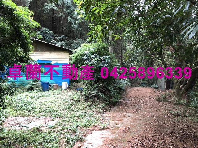 卓蘭林地-3