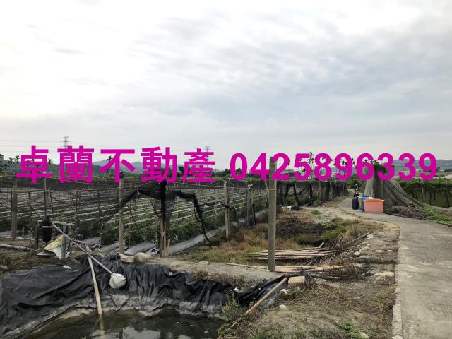 苗栗農地-4