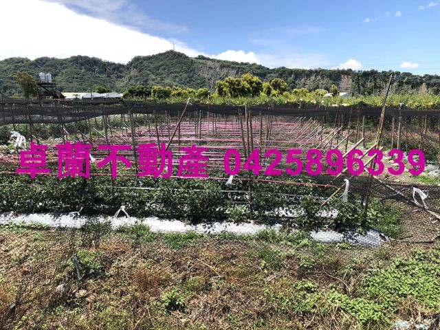 苗栗農地-6