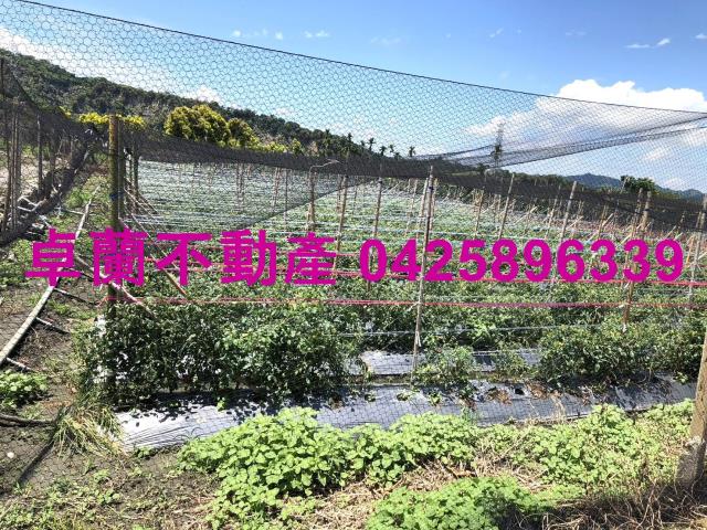 苗栗農地-7