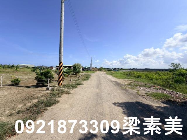 台南仁德農地-2