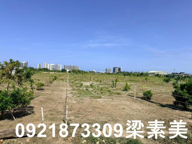 台南仁德農地-3