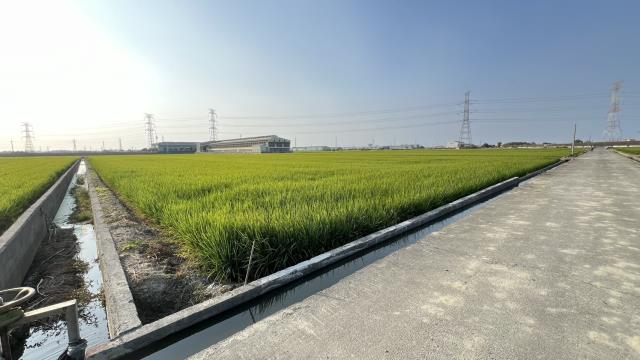 高雄路竹農地-11