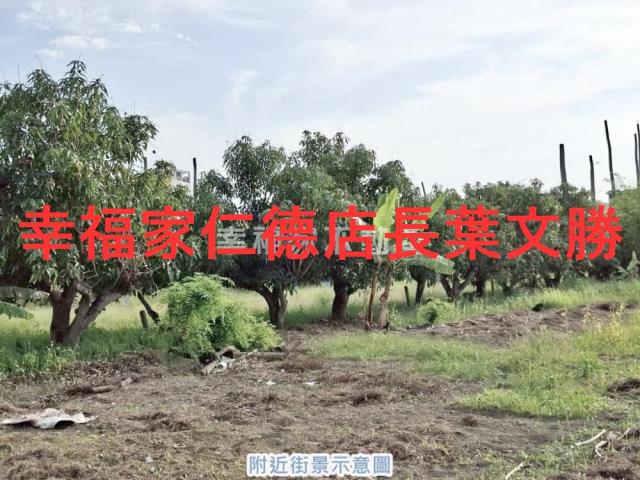 台南永康農地-12