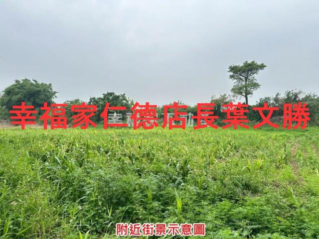 善化農地-5