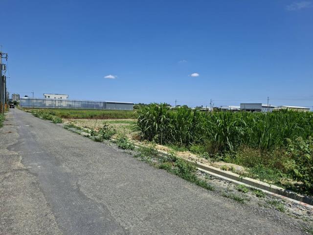 歸仁農地-4