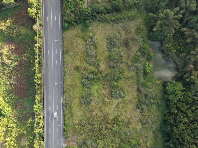 內門農地-15