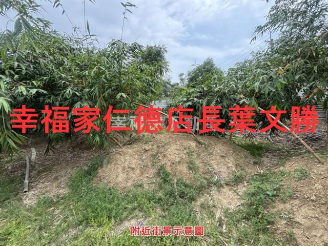 台南農地-4