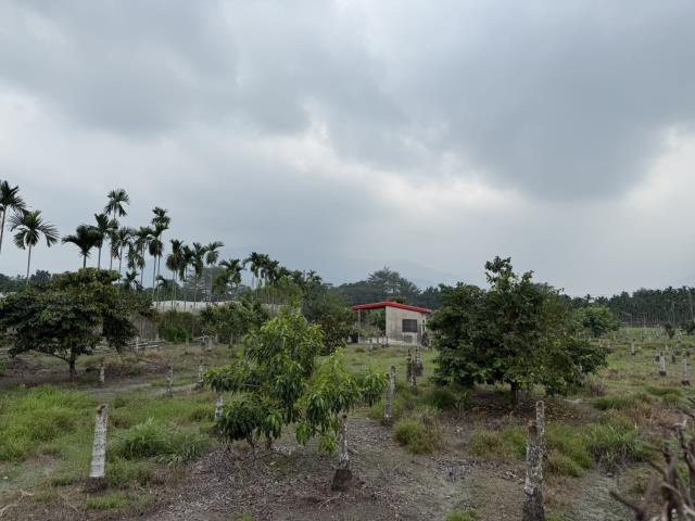 屏東鹽埔農地-4