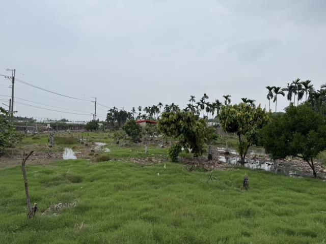 屏東鹽埔農地-7