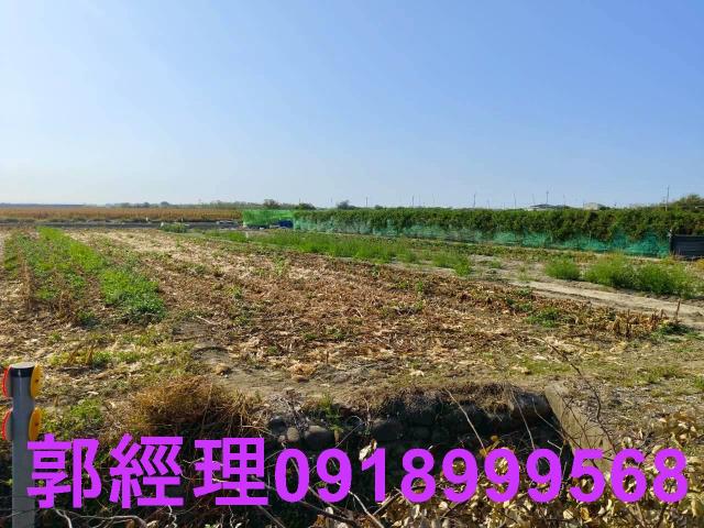 台南佳里農地-14