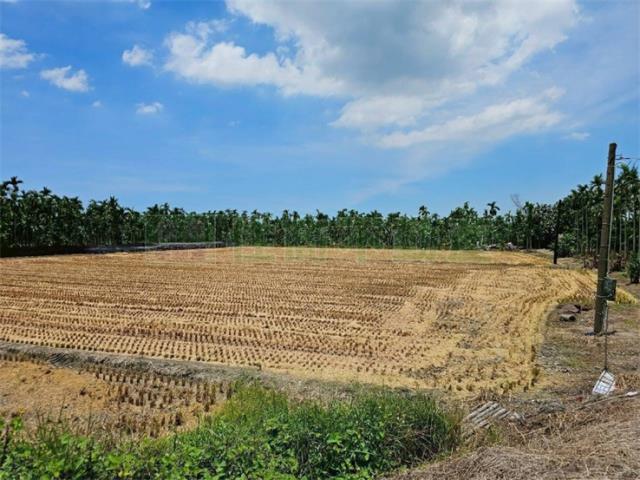 屏東新埤農地-3