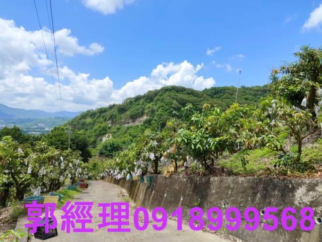台南玉井農地-12