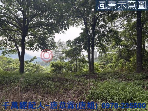 橫山山坡地-1