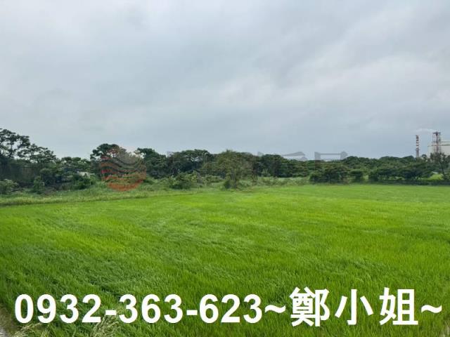 新屋農地-9