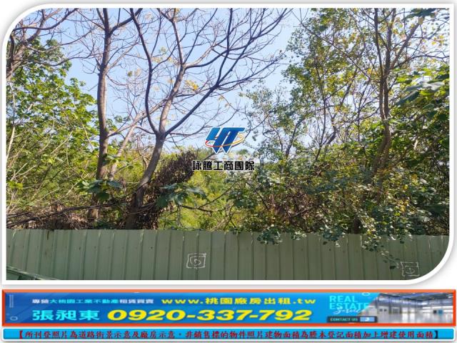 桃園蘆竹工業地-1