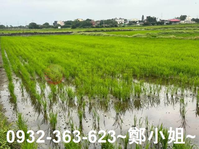 桃園新屋農地-14