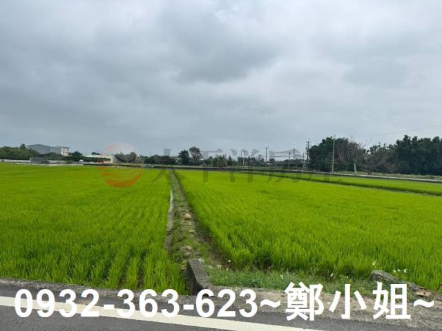桃園新屋農地-4