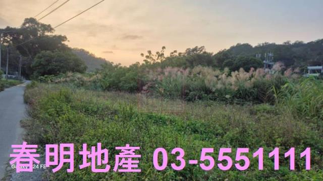 苗栗造橋農地-13