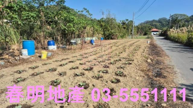 苗栗造橋農地-4