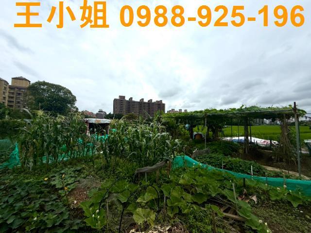 桃園桃園區農地-4
