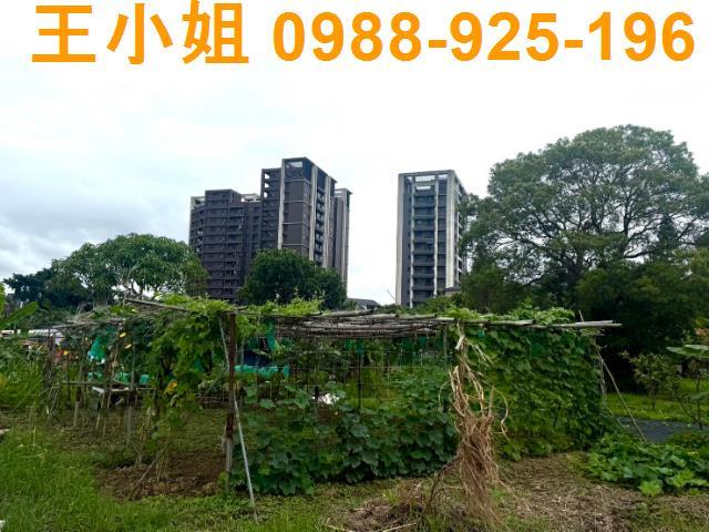 桃園桃園區農地-7