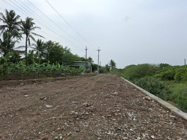高雄路竹農地-8