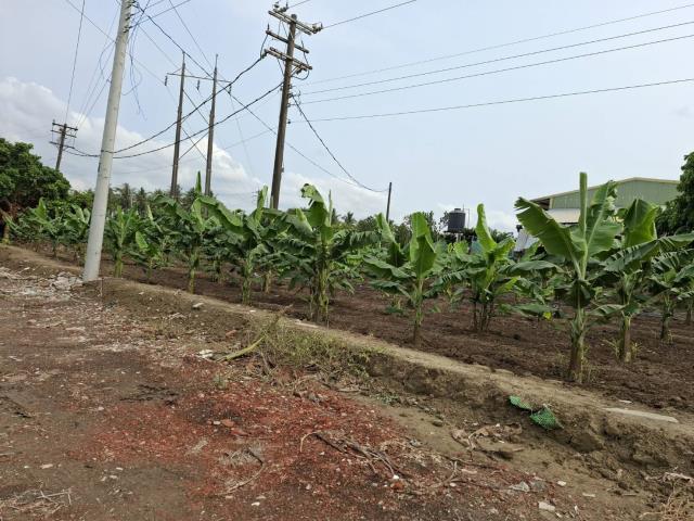 高雄路竹農地-3