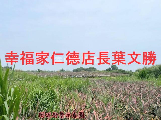 關廟農地-14