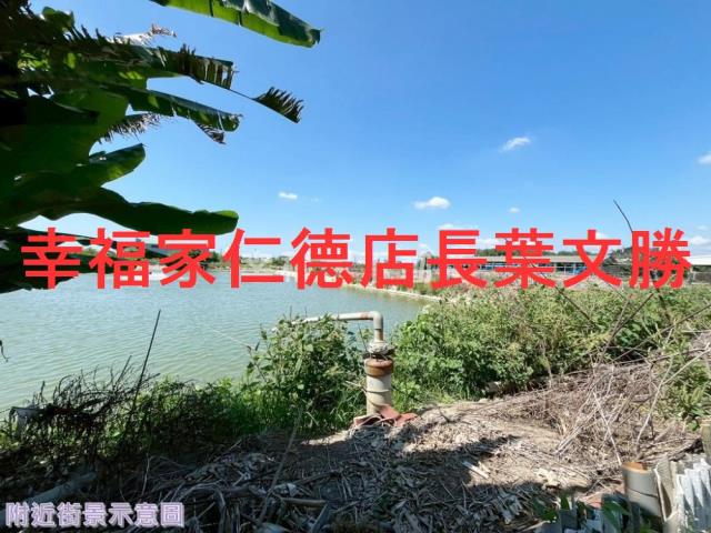 仁德農地-5