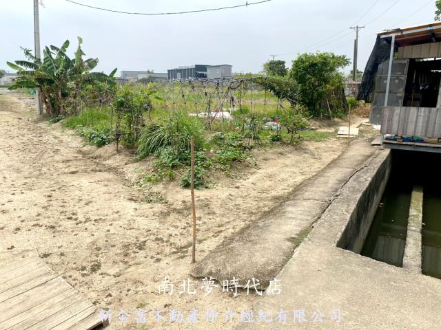 西區農地-15