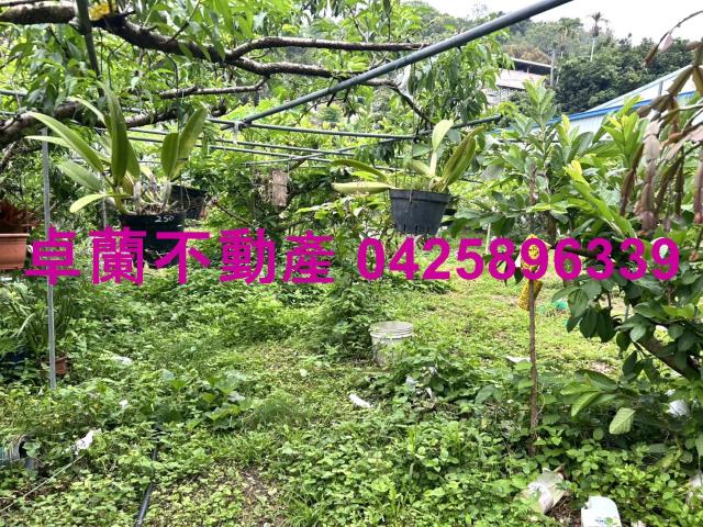 苗栗卓蘭農地-3