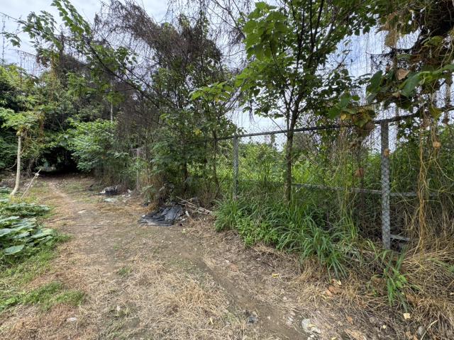 南投南投市農地-1
