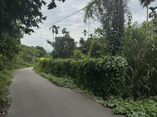南投南投市農地-5