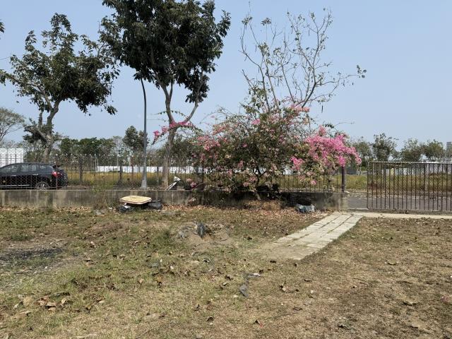 高雄橋頭建地-12