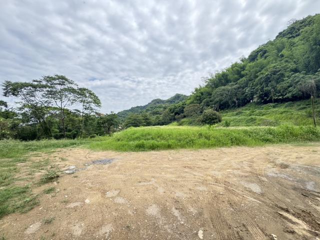 南投名間農地-3