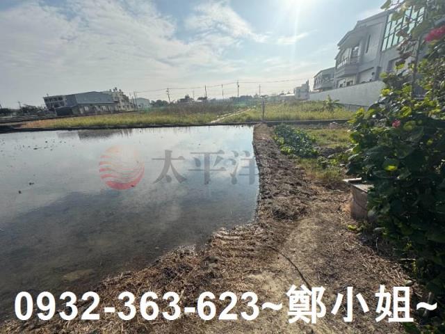 苑裡農地-2