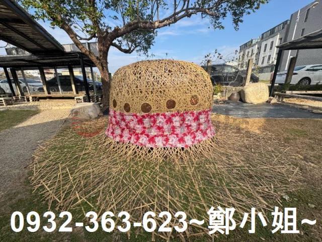苑裡農地-6