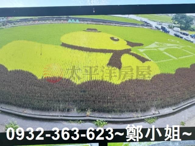 苑裡農地-7