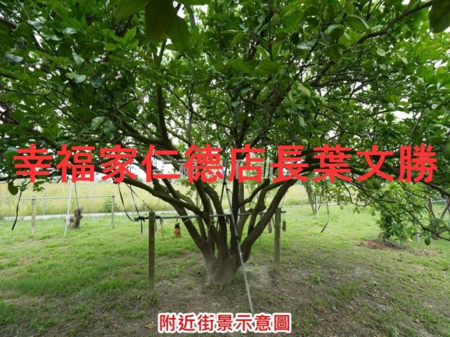麻豆農地-4