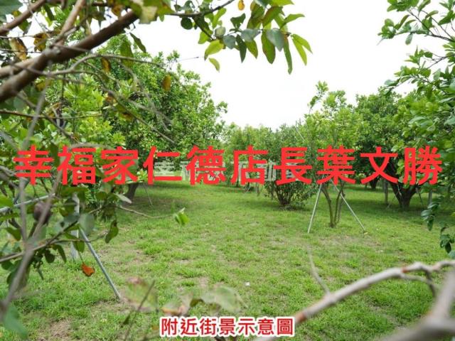 麻豆農地-5