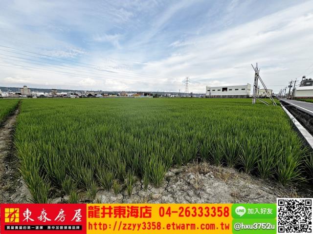 台中龍井農地-2