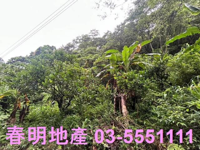 新竹芎林林地-1