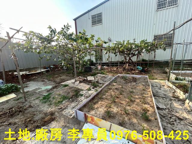 埔里農地-4