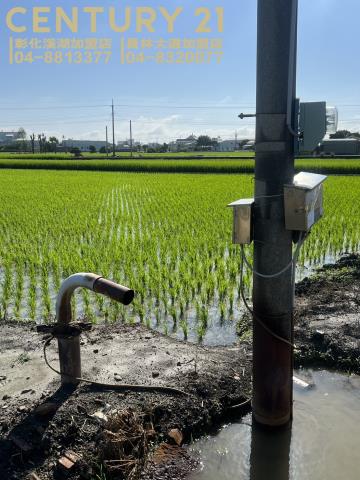 竹塘農地-5