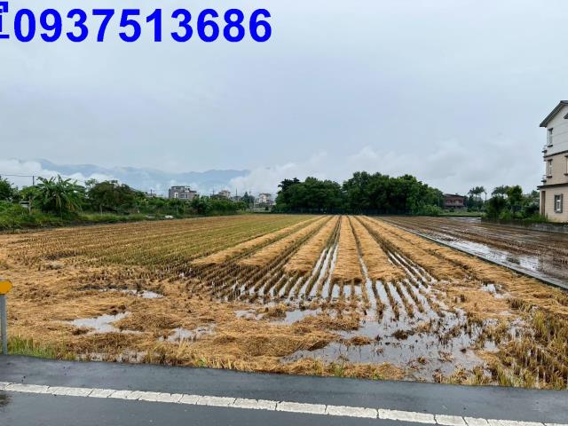 員山農地-6