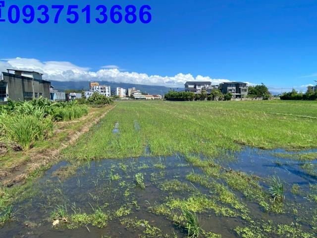 宜蘭市農地-6