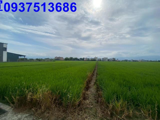 壯圍農地-7