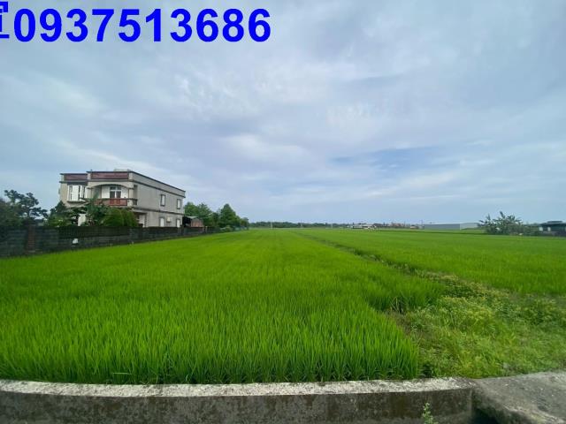 壯圍農地-4