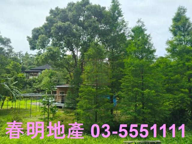 苗栗農地-7